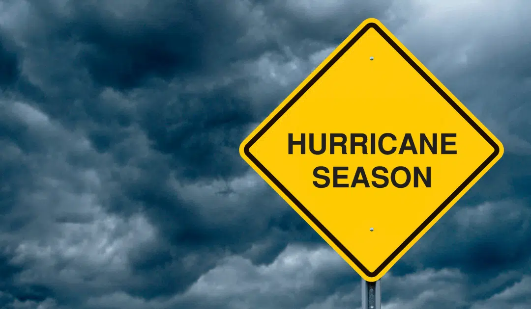 Hurricane Season Tree Prep