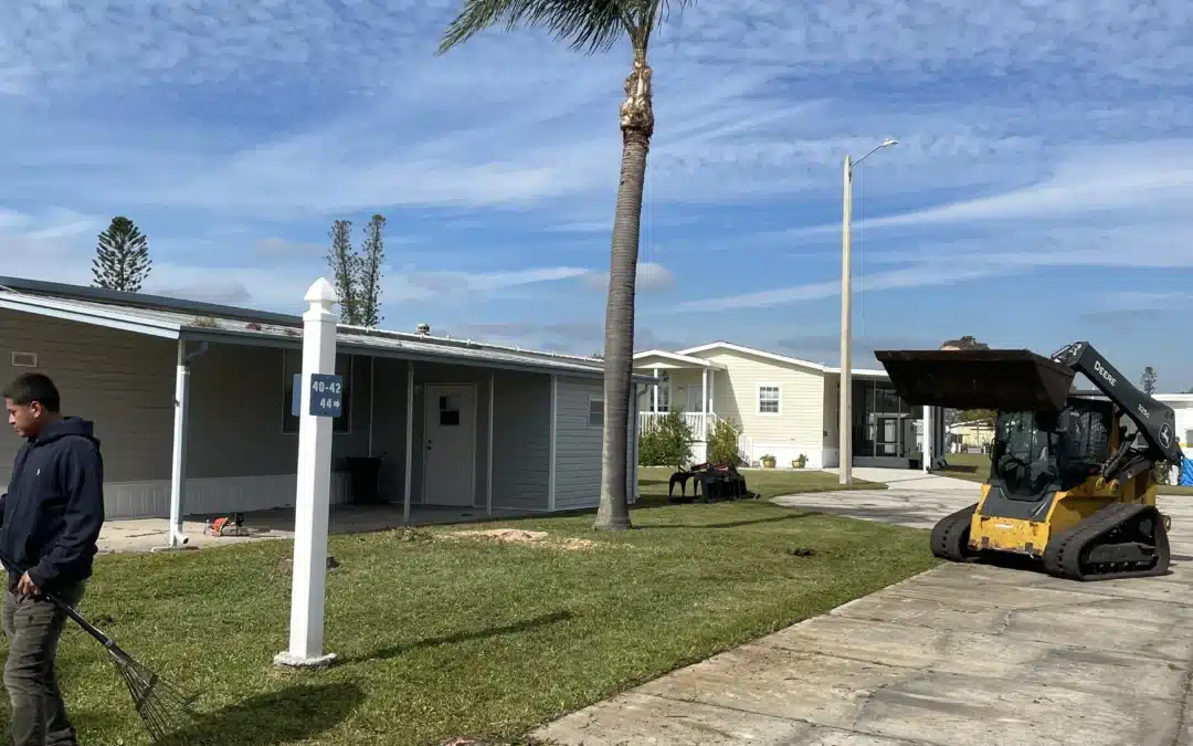 Pine Tree Removal in Ruskin, FL