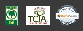 Tree Service Icons